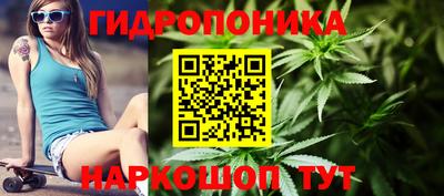 ГАЛЛЮЦИНОГЕННЫЕ ГРИБЫ Волжский