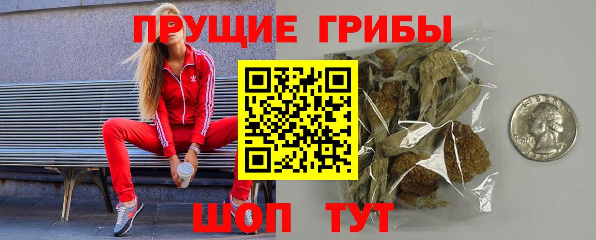Псилоцибиновые грибы GOLDEN TEACHER Белореченск