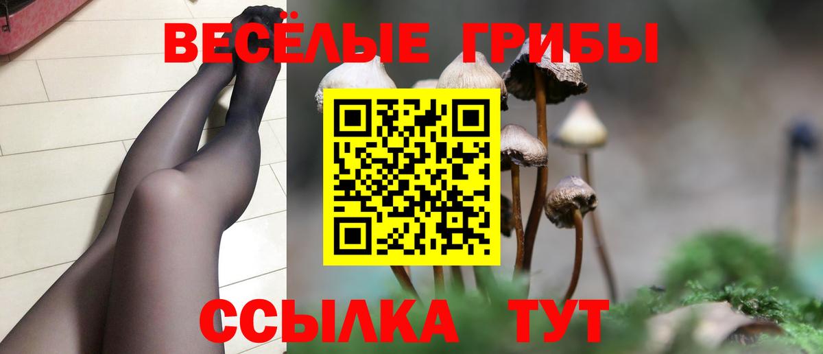 Псилоцибиновые грибы Cubensis  Вход с VPN  Белореченск  Галлюциногенные грибы мицелий 